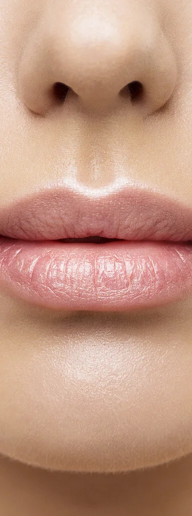 Lips