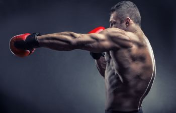 Boxer
